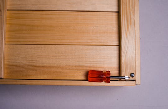 Unmasking the Invisible Guest: What’s Lurking in Your Walls and Furniture?