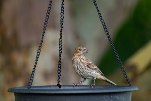 Decoding Pittsburgh’s Property Powerhouse: What Investment Volume Tells You